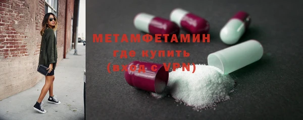 индика Елизово