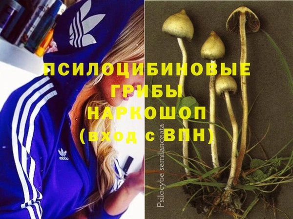 мяу мяу мука Осинники