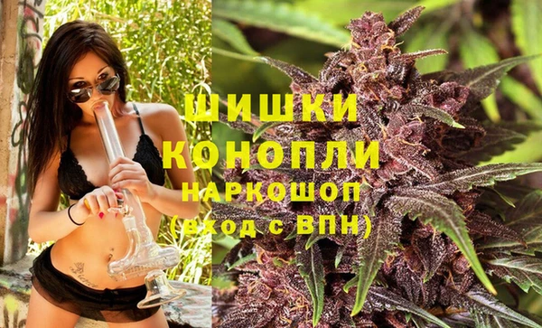 spice Ельня