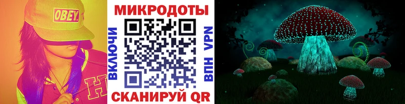 что такое   Дербент  Галлюциногенные грибы Magic Shrooms 