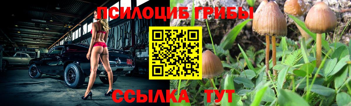 Галлюциногенные грибы MAGIC MUSHROOMS Дербент