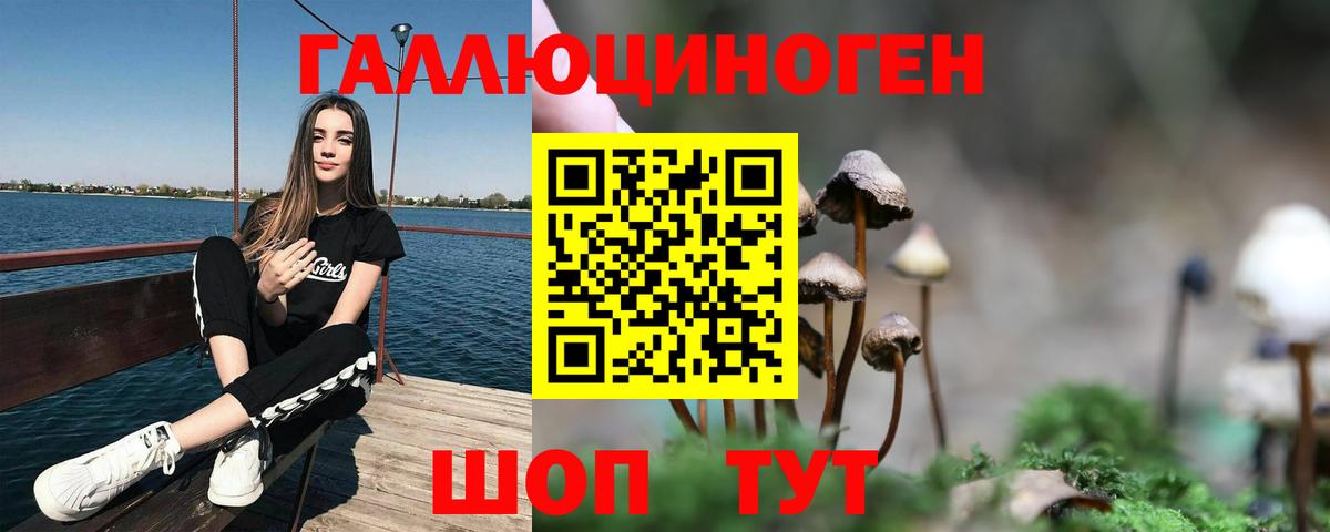 Дербент  Галлюциногенные грибы мухоморы  Вход с VPN  Псилоцибиновые грибы MAGIC MUSHROOMS 